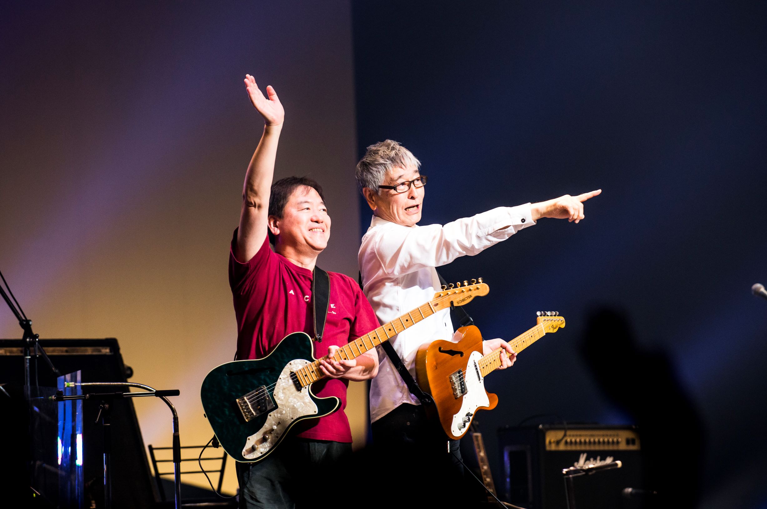 【チューリップDVD】40周年 THE LIVE  福岡  財津和夫  姫野達也 チューリップ 1976年 福岡九電記念体育館ライブが レストア／リ
