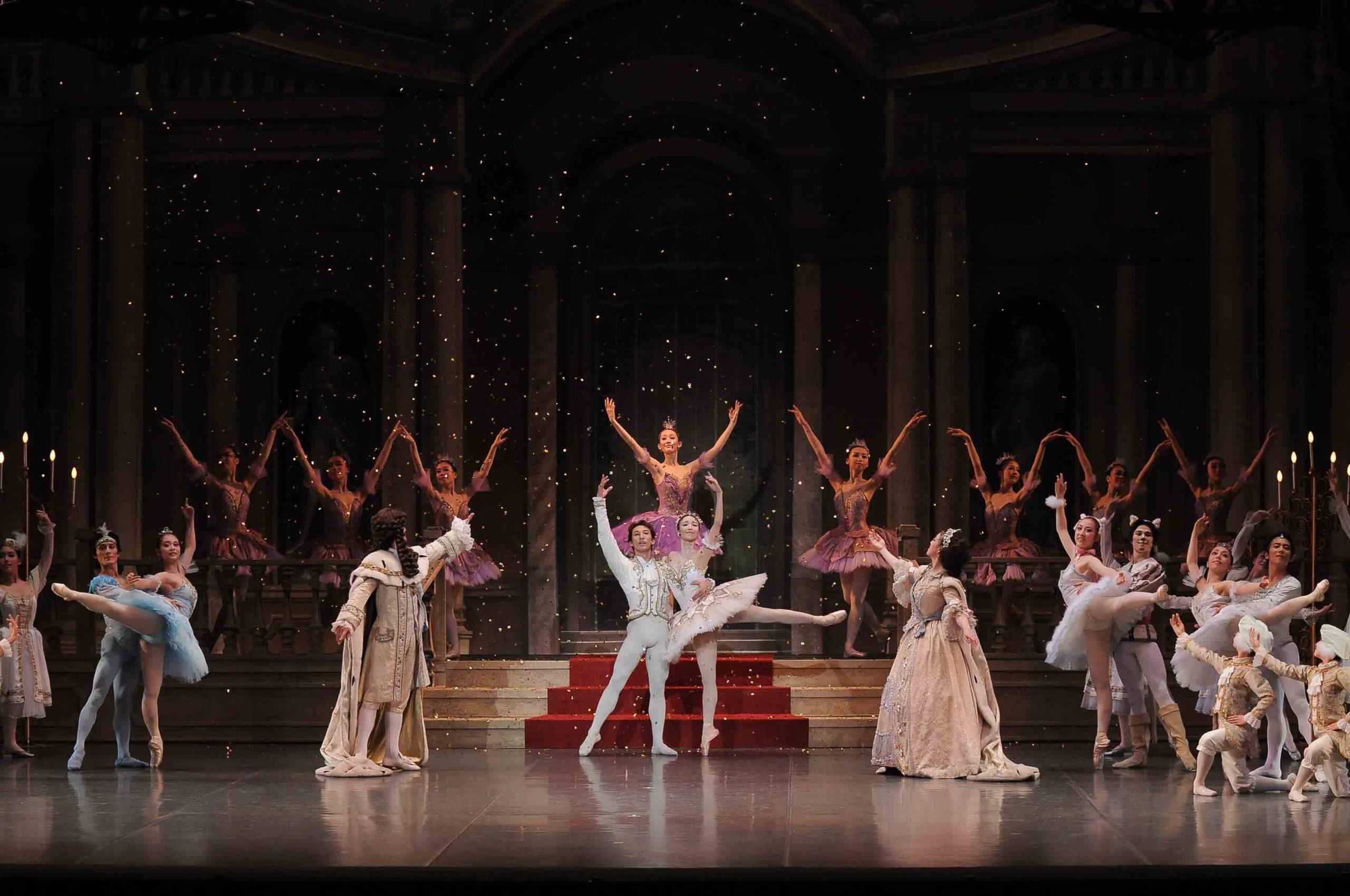 野間バレエ団創立30周年記念公演「眠れる森の美女」（全幕） | 【公式