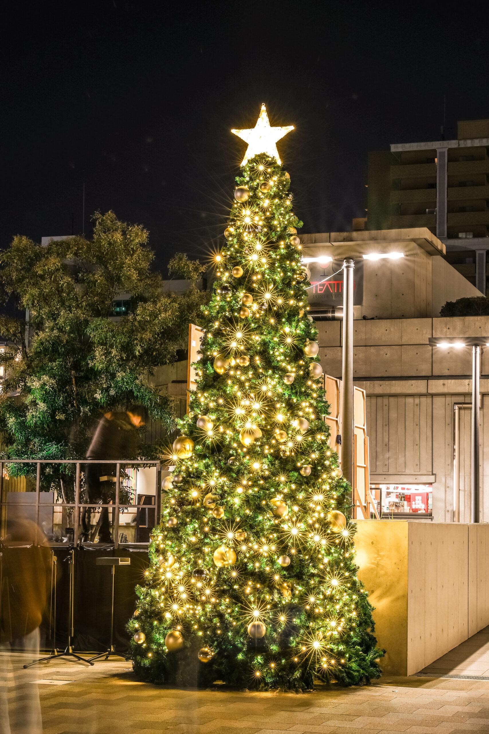 翁橋公園 夜間ライトアップのご案内 | 【公式】フェニーチェ堺WEB